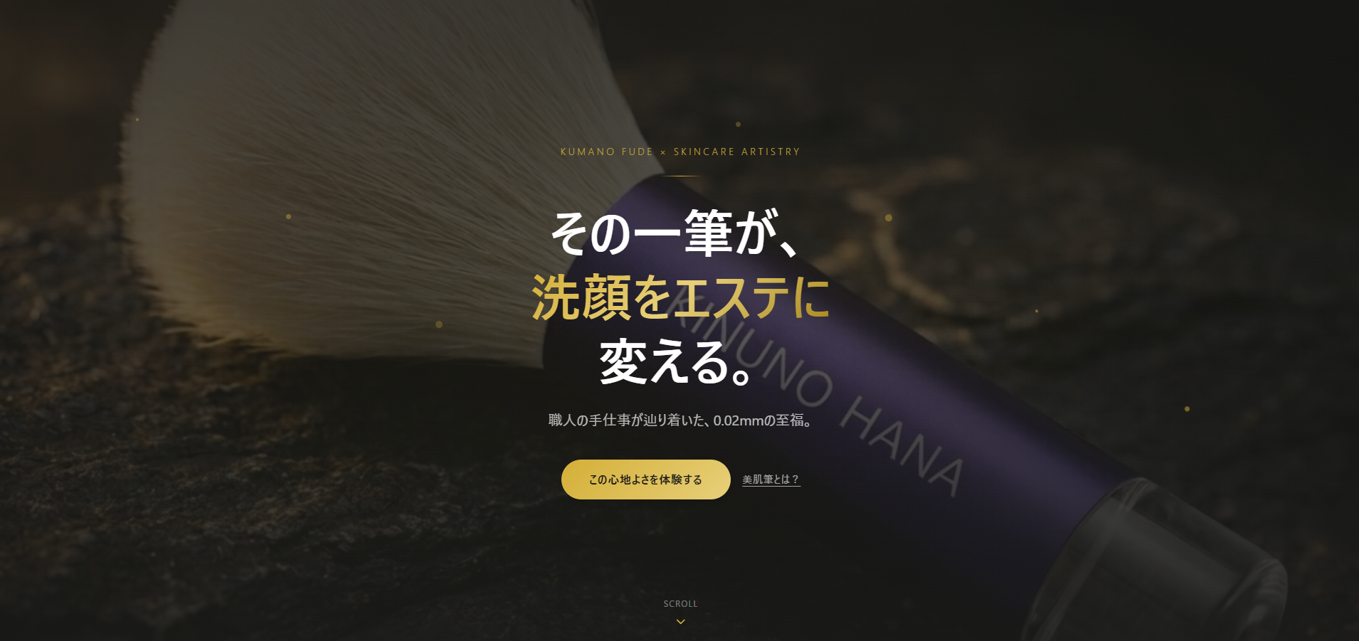 絹の華様　洗顔筆「美肌筆」プロモーション用LP制作